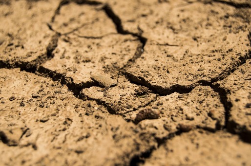 Suprafața agricolă afectată de secetă a crescut