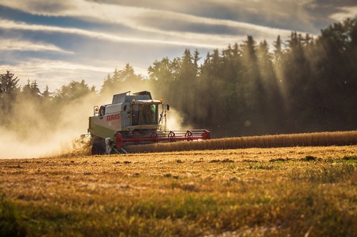 Prețurile grâului au crescut puternic, la nivel global, după retragerea Rusiei din acordul de export al cerealelor prin Marea Neagră