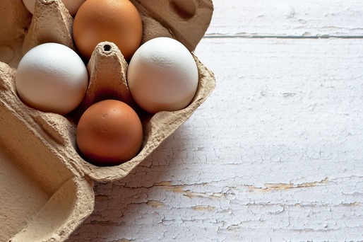 Restricții la achizițiile de ouă în Marea Britanie, din cauza gripei aviare