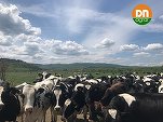 DN Agrar Group, controlat de familia olandeză de Boer, și-a triplat afacerile în primele 9 luni