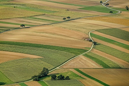 Terenul arabil este mai scump în România decât în Bulgaria, Franța, Ungaria