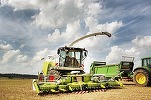 Fermierii din România și alte țări din estul UE, nemulțumiți că cerealele ieftine din Ucraina au invadat piața