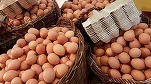 Ouăle s-au scumpit mai mult în România decât în UE. Cu cine \