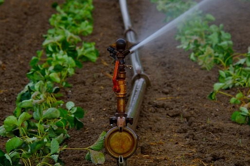 Fermierii români învață în Israel cum se fac irigațiile. Tur al așezărilor kibbutz