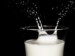 Consiliul Concurenței: Acordul voluntar pentru reducerea prețului laptelui este implementat