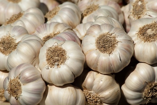 Producătorii de usturoi din Buzău vor să scoată pe piață produse de nișă: usturoiul afumat și ”țuica” din usturoi