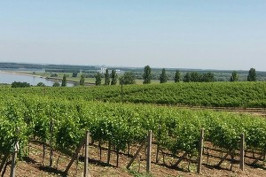 Domeniile Ostrov: Problema forței de muncă încercăm să o rezolvăm cu forța de muncă din străinătate