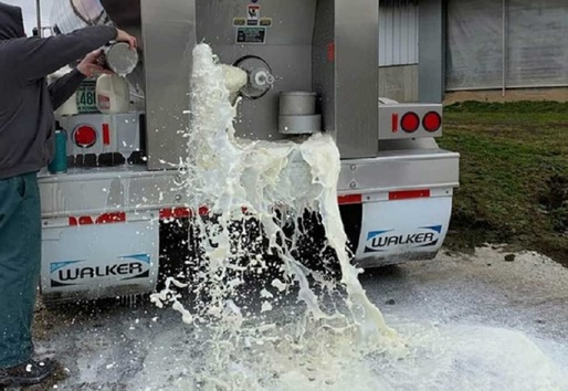 VIDEO Agro TV: O nouă amenințare - Fermierii aruncă pe câmp mii de litri de lapte