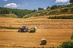 România a urcat în Topul UE în funcție de ponderea culturilor agricole organice și a trecut în fața Olandei și Poloniei
