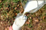 Prețul laptelui la poarta fermei a înregistrat o scădere majoră la puțin timp după ce procesatorii și magazinele au acceptat reducerea voluntară a prețului la raft