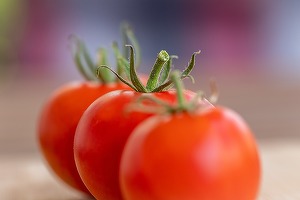 Exporturile turcești de fructe și legume au ajuns la 1,7 miliarde de dolari. Cele mai mari piețe: Rusia și România