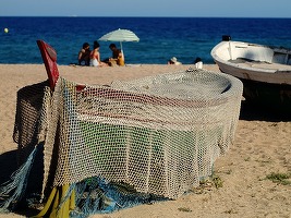 Cât și ce fel de pește mai avem în Marea Neagră?