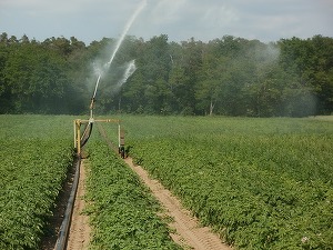 Ministrul Agriculturii: Anul viitor vor începe lucrările la Canalul Siret-Bărăgan