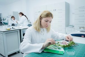 Ministrul Agriculturii: Voi cere Comisiei Europene sprijin pentru extinderea Bănci de resurse genetice vegetale din Buzău. E un exemplu că putem face cercetare în România