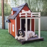 CE propune noi norme pentru bunăstarea animalelor