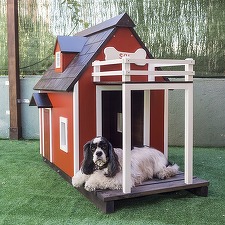 CE propune noi norme pentru bunăstarea animalelor