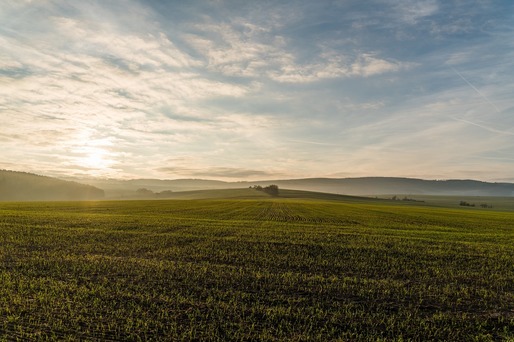 Parteneriat Al Dahra și Agreena: cea mai mare suprafață de teren arabil din UE ce va face tranziția către agricultura regenerativă