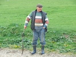 Criza din agricultură, adâncită de lipsa forței de muncă