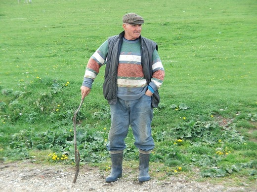 Criza din agricultură, adâncită de lipsa forței de muncă