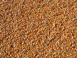 Creșterea semnificativă a prețurilor la produsele agricole s-a oprit în 2023
