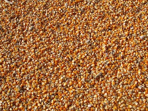 Creșterea semnificativă a prețurilor la produsele agricole s-a oprit în 2023