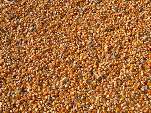 Creșterea semnificativă a prețurilor la produsele agricole s-a oprit în 2023