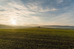Diferențe semnificative între prețurile și chiriile pentru terenuri agricole, în Uniunea Europeană
