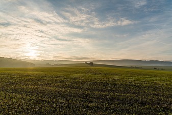 Diferențe semnificative între prețurile și chiriile pentru terenuri agricole, în Uniunea Europeană