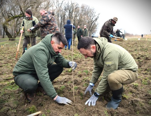 VIDEO Ministrul Mediului a dat start campaniei de împădurire. Va regenera peste 12.000 hectare