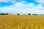 Uniunea Europeană ajunge la un acord interimar pentru prelungirea importurilor agricole ucrainene fără taxe vamale, până în iunie 2025. Produse incluse pe listă