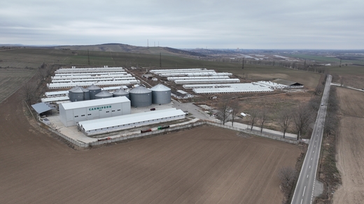 Carniprod Tulcea anunță punerea în vânzare a fabricii de nutrețuri combinate și a complexului zootehnic