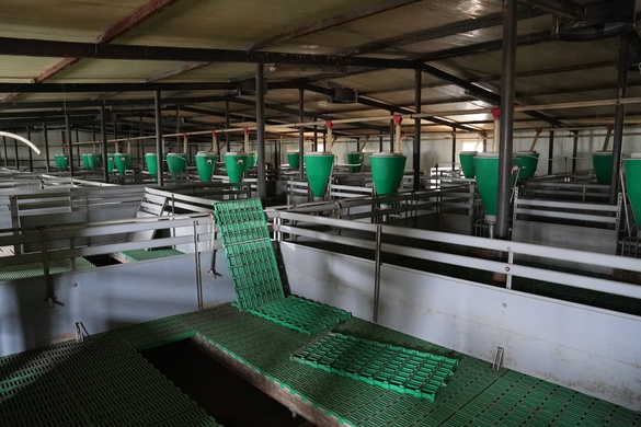 Carniprod Tulcea anunță punerea în vânzare a fabricii de nutrețuri combinate și a complexului zootehnic