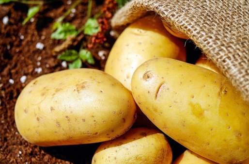 Mai este considerat cartoful o legumă sau doar amidon? Autoritățile americane se contrazic