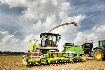 Guvernul a suplimentat bugetul ajutoarelor acordate fermierilor pentru sectoarele vegetal, suin și avicol