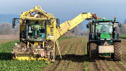 SURPRIZĂ Unul dintre cele mai mari agribusiness-uri românești, cu intenții de listare la bursă acum 2 ani, a intrat în insolvență