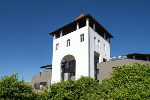 FOTO Producătorul Villa Vinèa extinde crama din Mureș cu 2 milioane euro, inclusiv cu subvenții