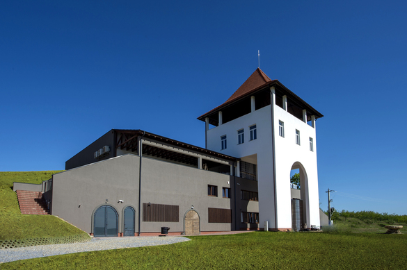 FOTO Producătorul Villa Vinèa extinde crama din Mureș cu 2 milioane euro, inclusiv cu subvenții