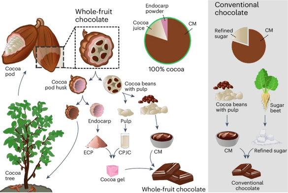 INFOGRAFIC Oamenii de știință elvețieni au inventat ciocolata cu deșeuri, pentru a reduce poluarea