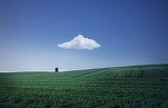 Suprafața terenurilor agricole ecologice în UE crește. România are doar 5% agricultură bio