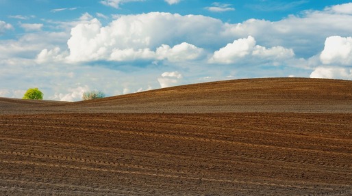Tot mai multe terenuri agricole - scoase la vânzare în condițiile în care o treime din suprafața arabilă din țară e deținută de străini
