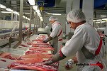 INFOGRAFIC Cele mai mari ferme zootehnice din România au revenit pe profit după trei ani de pierderi