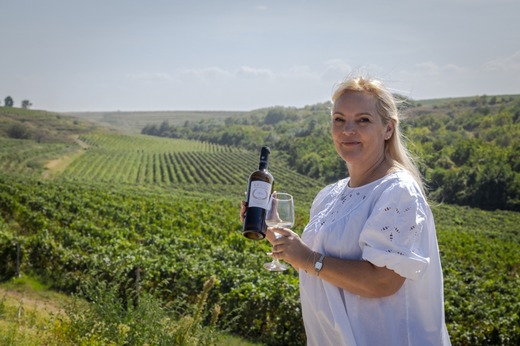 Domeniile Ostrov - pierderi de 40% la strugurii de vin și de masă. Prețurile vinurilor ar putea crește