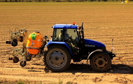 Comisia Europeană nu mai aprobă utilizarea unui erbicid cu efecte atât asupra sănătății oamenilor, cât și a populațiilor de albine