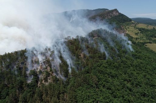 Număr record de incendii în acest an în pădurile administrate de Romsilva. Pagube de peste 3,6 milioane de lei