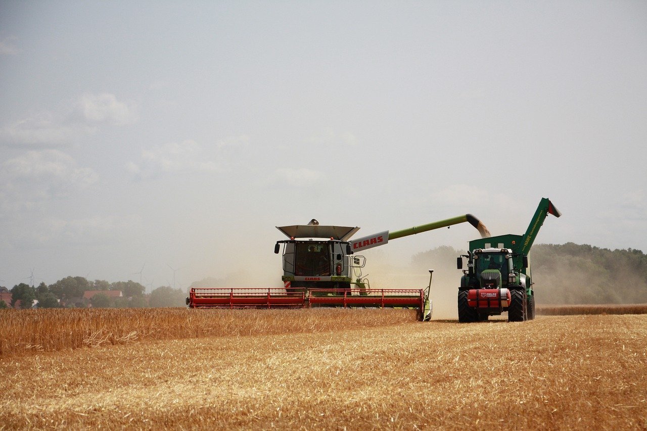 Agro TV – Piața cerealelor 2025: România, lider incontestabil în Uniunea Europeană