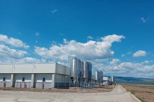 Fermă care va produce 100.000 de purcei pe an, înființată la Săhăteni, în Buzău, cu o investiție de 16 milioane de euro