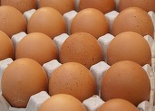 Ouăle s-au ieftinit în SUA. Care este prețul acum