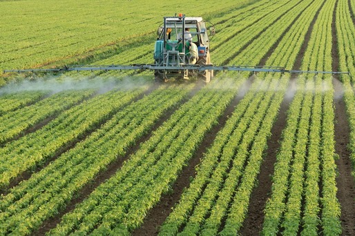Randamentele agricole mondiale vor scădea cu procente cuprinse între 11% și 24%, până în 2100