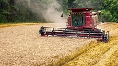 România încheie anul comercial 2024-2025 pe primul loc în Uniunea Europeană la exportul de grâu comun, orz și porumb