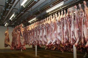 Peste o tonă de carne posibil infectată cu virusul pestei porcine africane, retrasă de la comercializare
